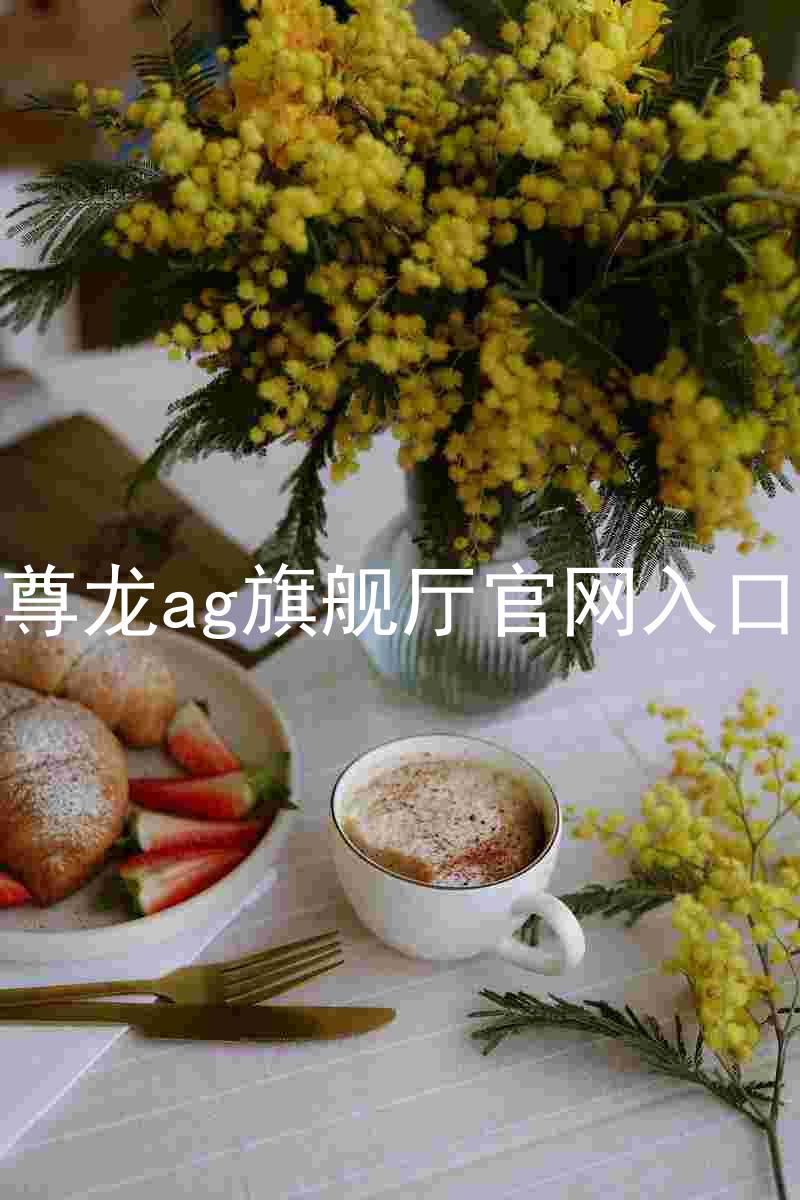尊龙ag旗舰厅官网入口