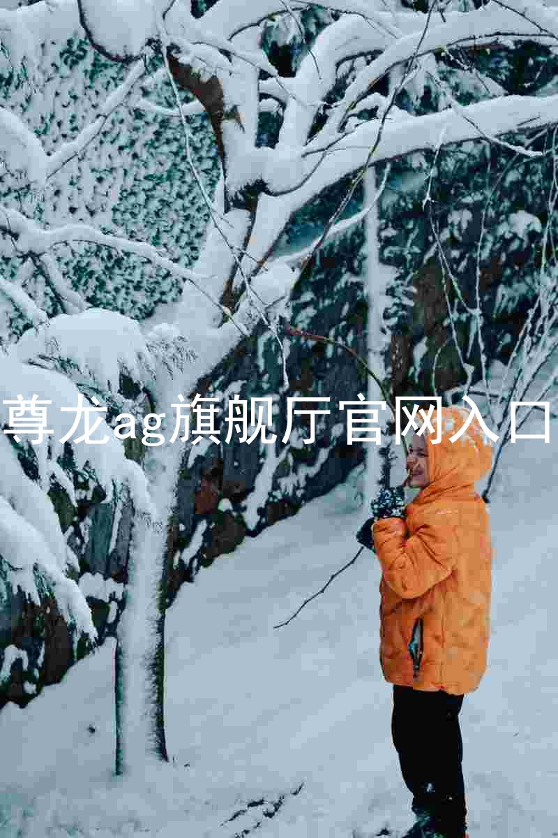 尊龙ag旗舰厅官网入口