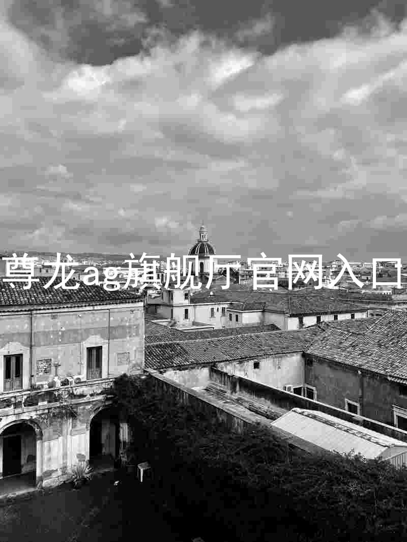 尊龙ag旗舰厅官网入口