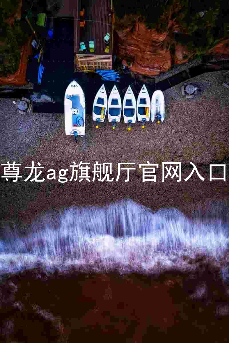尊龙ag旗舰厅官网入口
