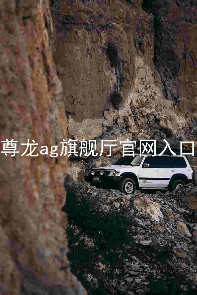 尊龙ag旗舰厅官网入口