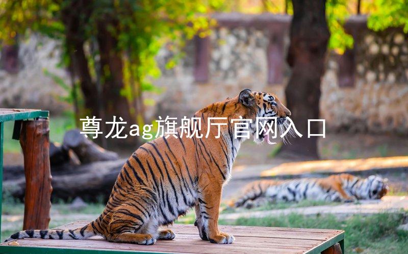 尊龙ag旗舰厅官网入口