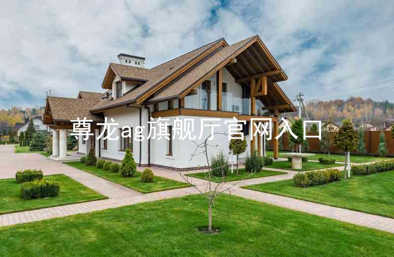 尊龙ag旗舰厅官网入口