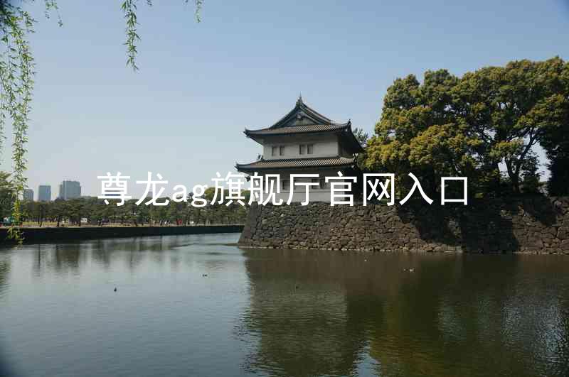 尊龙ag旗舰厅官网入口